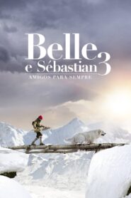 Belle e Sebastian: Amigos para Sempre